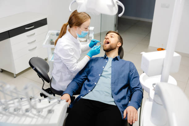 Professional Dental Services in North Port, FL